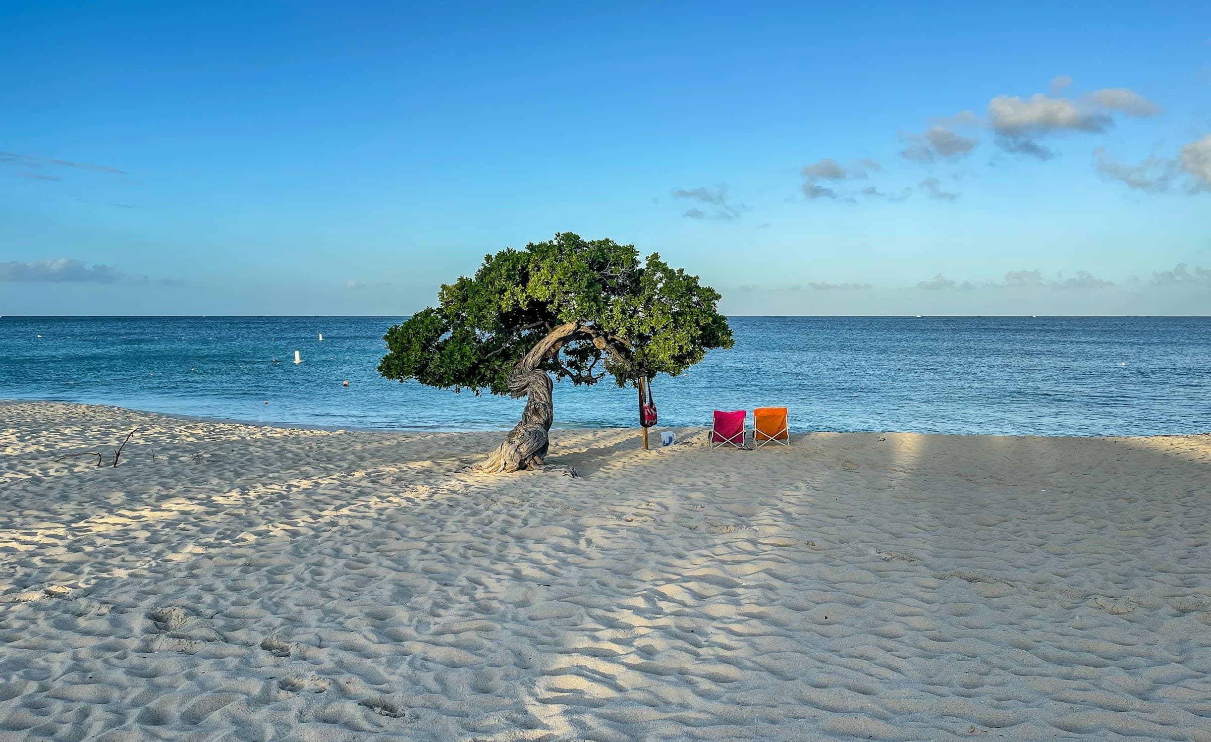 Top Things to Do in Aruba: The Complete 2026 Visitor's Guide